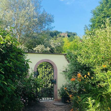 Lo'Gite L'Allee Du Val Lalaye 外观 照片