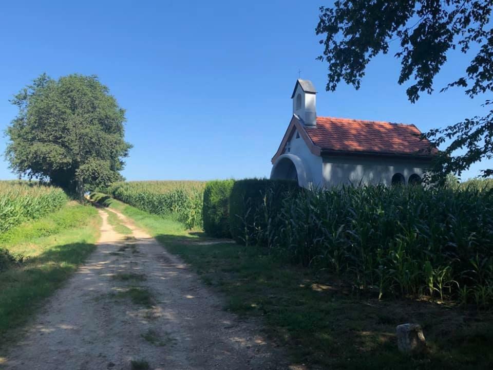 Lo'Gite L'Allee Du Val Lalaye 外观 照片